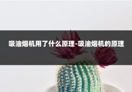 吸油烟机用了什么原理-吸油烟机的原理
