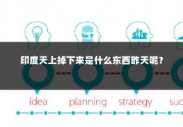 印度天上掉下来是什么东西昨天呢？