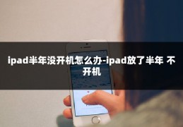 ipad半年没开机怎么办-ipad放了半年 不开机