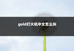 gold打火机中文怎么叫