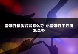 音响开机就翁翁怎么办-小音响开不开机怎么办