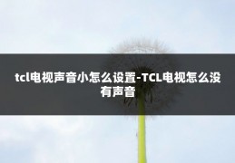 tcl电视声音小怎么设置-TCL电视怎么没有声音