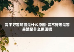胃不好容易醒是什么原因-胃不好老是容易饿是什么原因呢