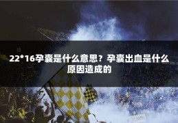 22*16孕囊是什么意思?孕囊出血是什么原因造成的