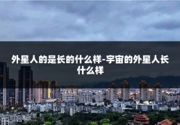 外星人的是长的什么样-宇宙的外星人长什么样