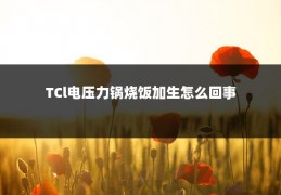 TCl电压力锅烧饭加生怎么回事