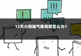 12天小狗喘气像有痰怎么办?