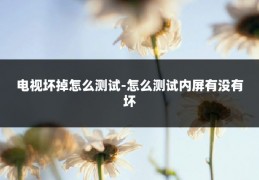 电视坏掉怎么测试-怎么测试内屏有没有坏