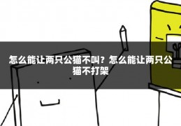 怎么能让两只公猫不叫?怎么能让两只公猫不打架
