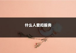 什么人爱扣服务