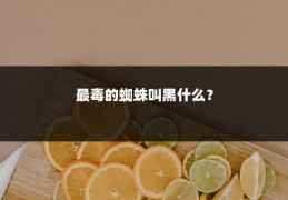 最毒的蜘蛛叫黑什么?