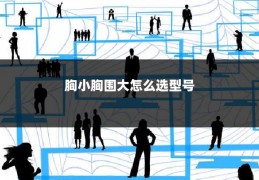 胸小胸围大怎么选型号