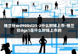 格兰仕wd900sl23-2什么时候上市-格兰仕dgs1是什么时候上市的