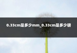 0.33cm是多少mm_0.33cm是多少磅