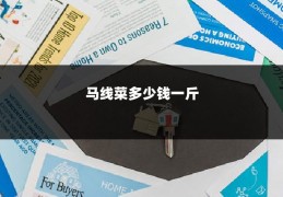 马线菜多少钱一斤