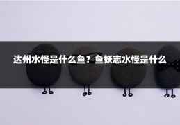 达州水怪是什么鱼？鱼妖志水怪是什么