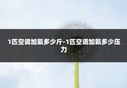 1匹空调加氟多少斤-1匹空调加氟多少压力