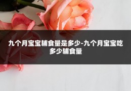 九个月宝宝辅食量是多少-九个月宝宝吃多少辅食量