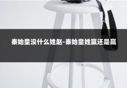 秦始皇没什么姓赵-秦始皇姓嬴还是赢