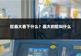 蛇最大吞下什么？最大的蛇叫什么