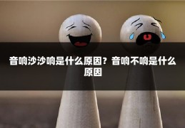 音响沙沙响是什么原因?音响不响是什么原因