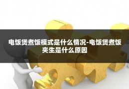 电饭煲煮饭模式是什么情况-电饭煲煮饭夹生是什么原因