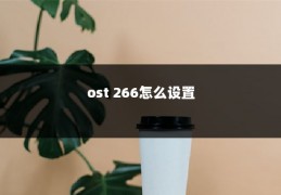 ost 266怎么设置