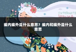 编内编外是什么意思？编内和编外是什么意思