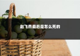 赵飞燕最后是怎么死的