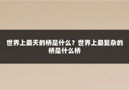 世界上最天的桥是什么？世界上最复杂的桥是什么桥