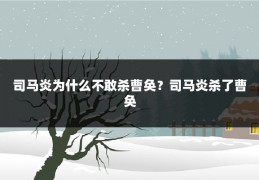 司马炎为什么不敢杀曹奂?司马炎杀了曹奂