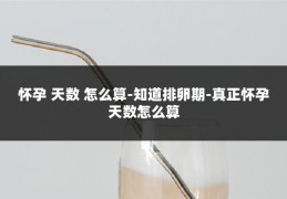 怀孕 天数 怎么算-知道排卵期-真正怀孕天数怎么算