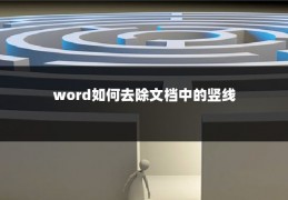 word如何去除文档中的竖线