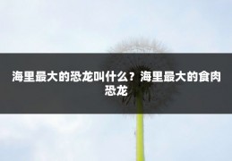 海里最大的恐龙叫什么？海里最大的食肉恐龙