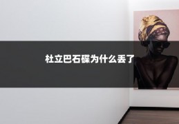 杜立巴石碟为什么丢了