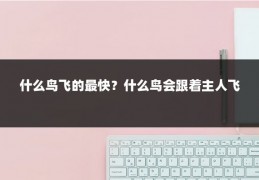 什么鸟飞的最快?什么鸟会跟着主人飞