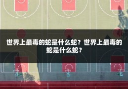 世界上最毒的蛇是什么蛇？世界上最毒的蛇是什么蛇？