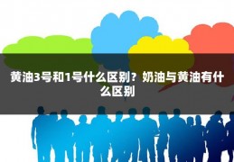 黄油3号和1号什么区别？奶油与黄油有什么区别