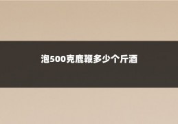 泡500克鹿鞭多少个斤酒