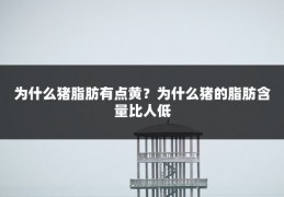为什么猪脂肪有点黄?为什么猪的脂肪含量比人低