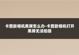 卡西欧相机黑屏怎么办-卡西欧相机打开黑屏无法拍摄