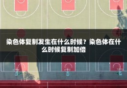 染色体复制发生在什么时候？染色体在什么时候复制加倍