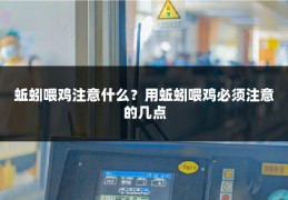 蚯蚓喂鸡注意什么?用蚯蚓喂鸡必须注意的几点