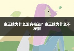 秦王陵为什么没有被盗?秦王陵为什么不发掘