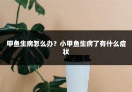 甲鱼生病怎么办?小甲鱼生病了有什么症状