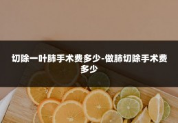 切除一叶肺手术费多少-做肺切除手术费多少