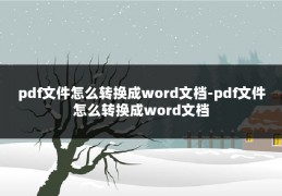 pdf文件怎么转换成word文档-pdf文件怎么转换成word文档
