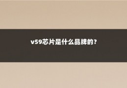 v59芯片是什么品牌的？