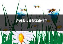 产后多少天就不出汗了
