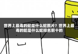 世界上最毒的蛇是什么蛇图片?世界上最毒的蛇是什么蛇排名前十的